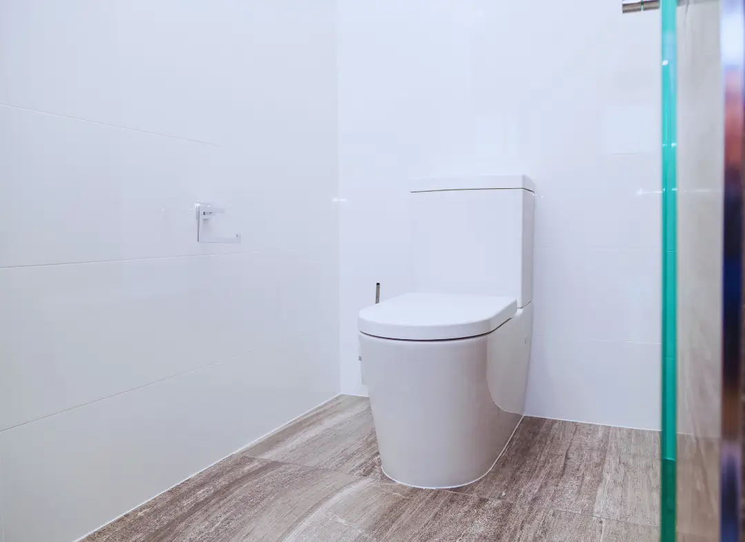 Remplacement de wc Cournonterral